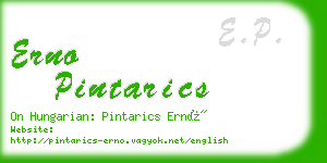 erno pintarics business card